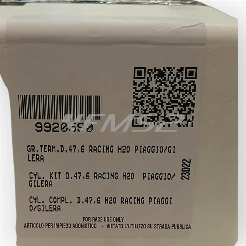 Motore gruppo termico Racing due plus Piaggio Gilera, ricambio 9920590