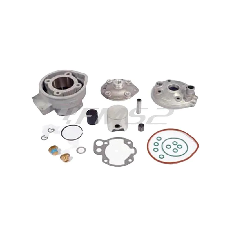 Motore gruppo termico tpr diametro 50mm AM6 corsa lunga 44 mm, ricambio 9924230