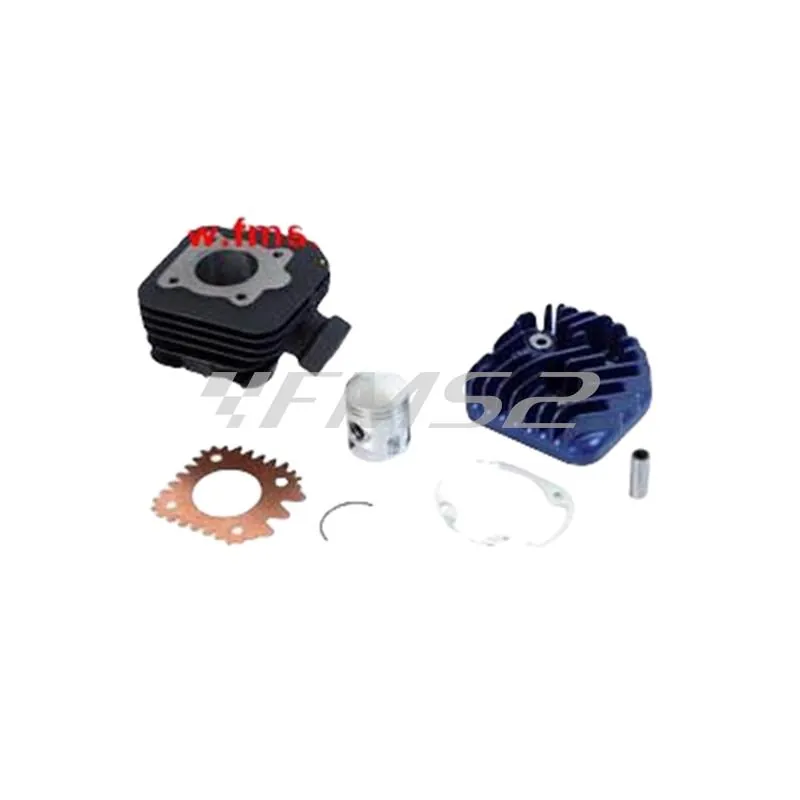 Motore gruppo termico Peugeot aria diametro 40 mm (cilindrata 50 cc) euro2, ricambio 9924770
