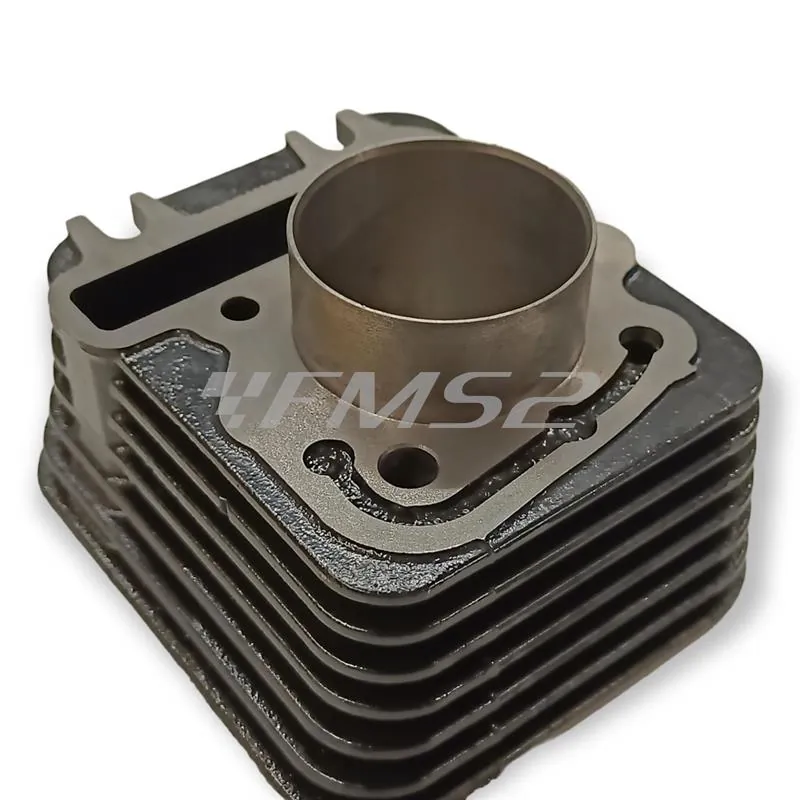 9928300 Motore gruppo termico top performance diametro 49 piaggio 50 4t 4v