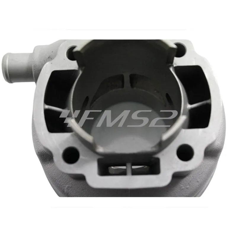 Motore gruppo termico diametro 50 mm modello TPR corsa lunga 44 mm e cilindrata 86 cc, ricambio del maxi kit codice 9926560 per scooter con motore minarelli orizzontale liquido (TOP PERFORMANCE), ricambio 9929310