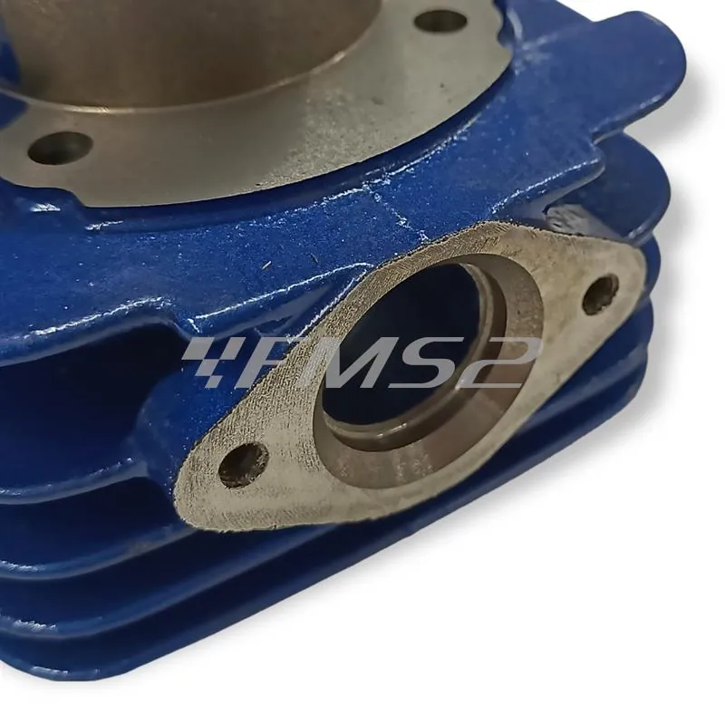 9930060 Motore gruppo termico top performance Racing gold line diametro 47,6mm per scooter con motore Piaggio raffreddato ad aria