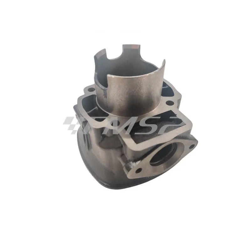 Motore gruppo termico Black Trophy diametro 48mm 75 cc con raffreddamento a liquido per scooter con motore Piaggio, ricambio 9931270