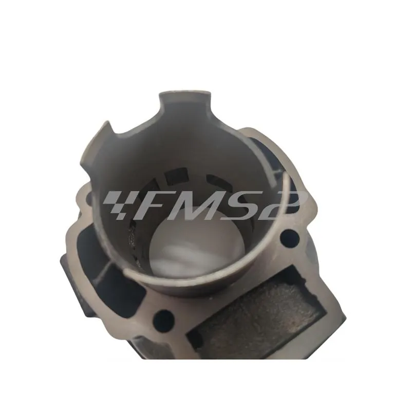 Motore gruppo termico Black Trophy diametro 48mm 75 cc con raffreddamento a liquido per scooter con motore Piaggio, ricambio 9931270