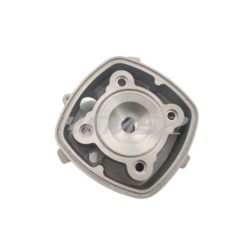 Motore gruppo termico Black Trophy diametro 48mm 75 cc con raffreddamento a liquido per scooter con motore Piaggio, ricambio 9931270