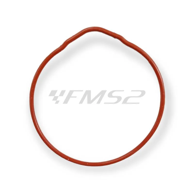 Guarnizioni per gt d.47,6 tpr 2 ma, ricambio 9931280