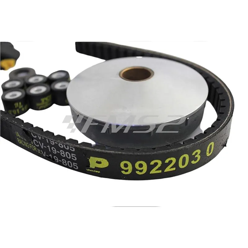 Variatore variotop TPR gp scooter piaggio nrg 50, ricambio 9931300