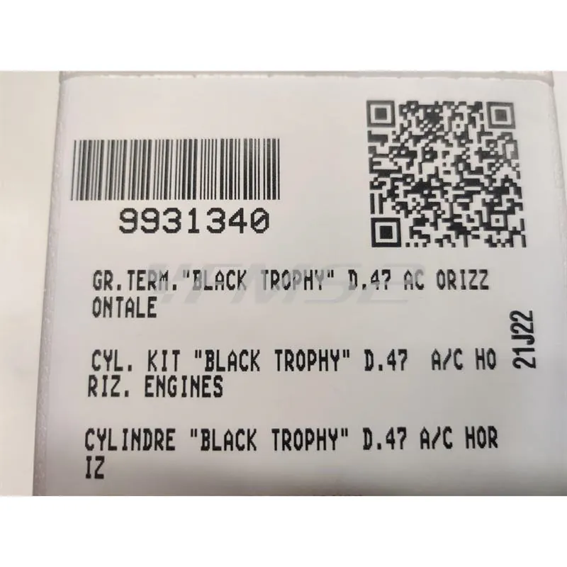 9931340 Motore gruppo termico top performance modello black trophy in ghisa con diametro 47 mm (cilindrata 70 cc) per scooter con motore Minarelli orizzontale