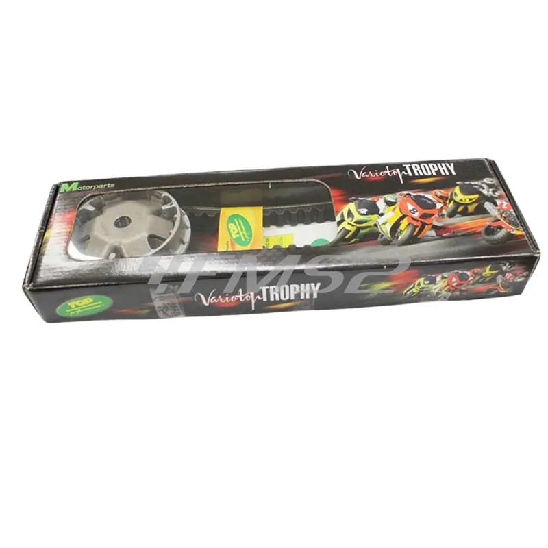 9931690 Variatore Variotop Trophy tpr gp per scooter con motore Minarelli orizzontale aria a braccio corto