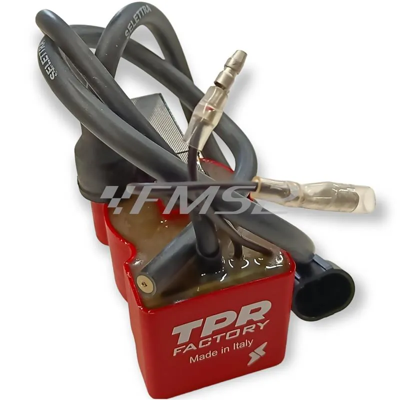 Accensione a rotore interno Top Performance TPR Factory per scooter con motore Minarelli orizzontale raffreddati a liquido F12, Nitro, Aerox, F15, Sr, Ark lc, 491 RR, ricambio 99ARI0200