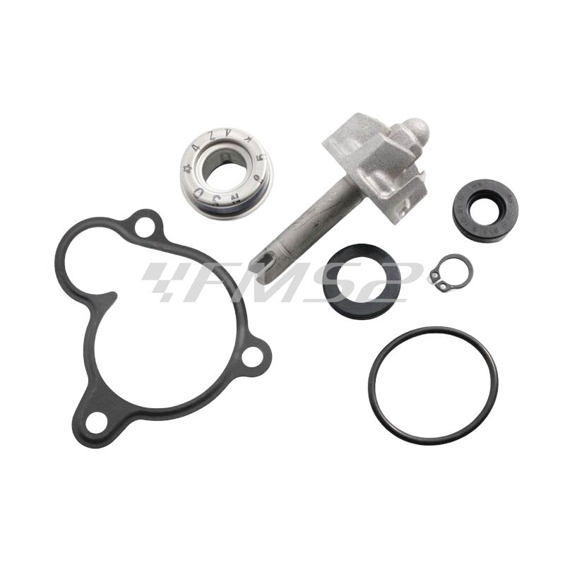Kit revisione pompa acqua Minarelli-yamaha, ricambio AA00806