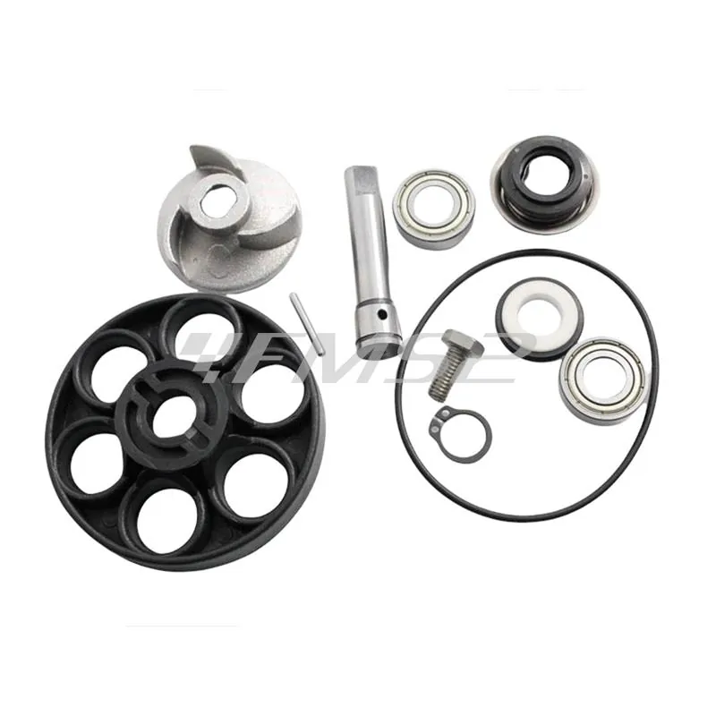 Kit revisione pompa acqua Suzuki katana, ricambio AA00808