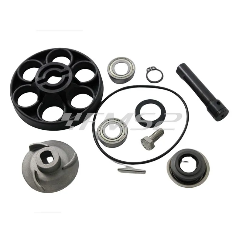 Kit revisione pompa acqua Suzuki katana, ricambio AA00809