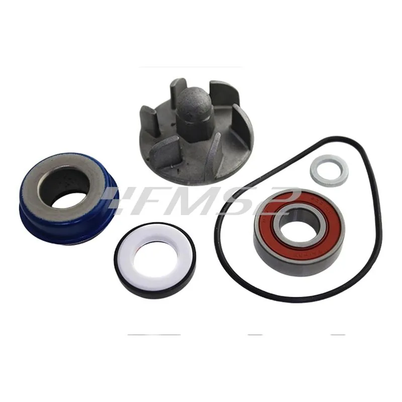 Kit revisione pompa acqua Honda pantheon 125/150 2t, ricambio AA00812