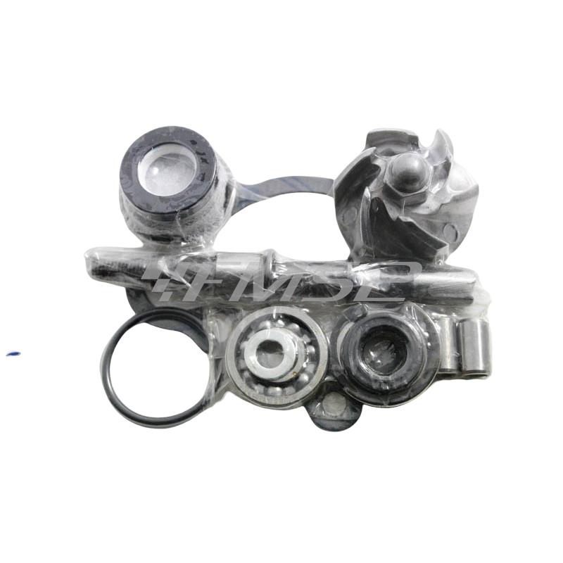 Kit revisione pompa acqua kimco 250cc. 4, ricambio AA00816