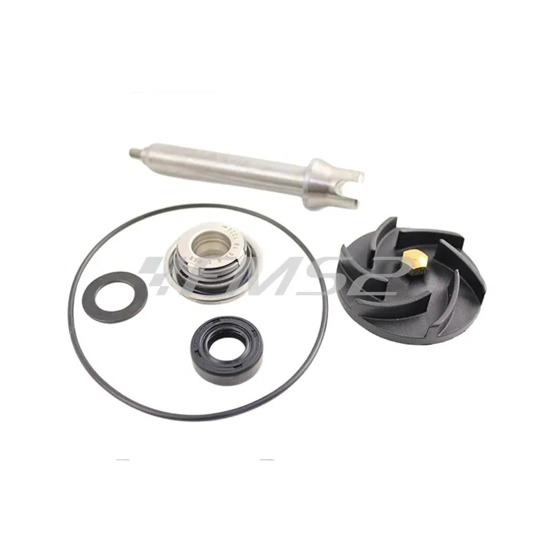 Kit revisione pompa acqua Piaggio 500, ricambio AA00824