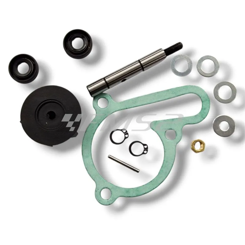 Kit revisione pompa h2o derbi/piaggio motore  d50b0, ricambio AA00825