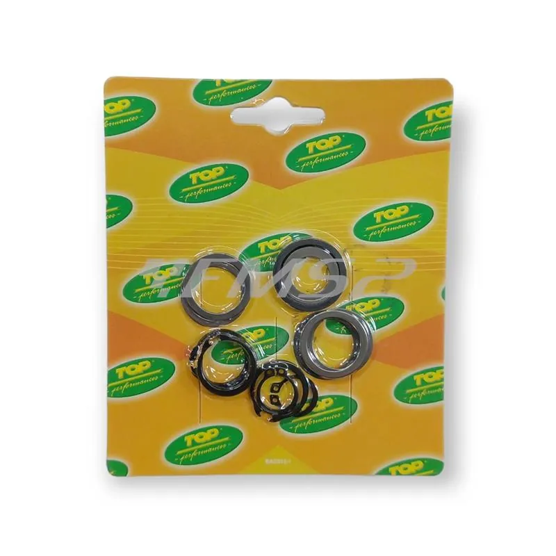 Kit rasamenti e seeger cambio am6 seconda serie, ricambio AM00044