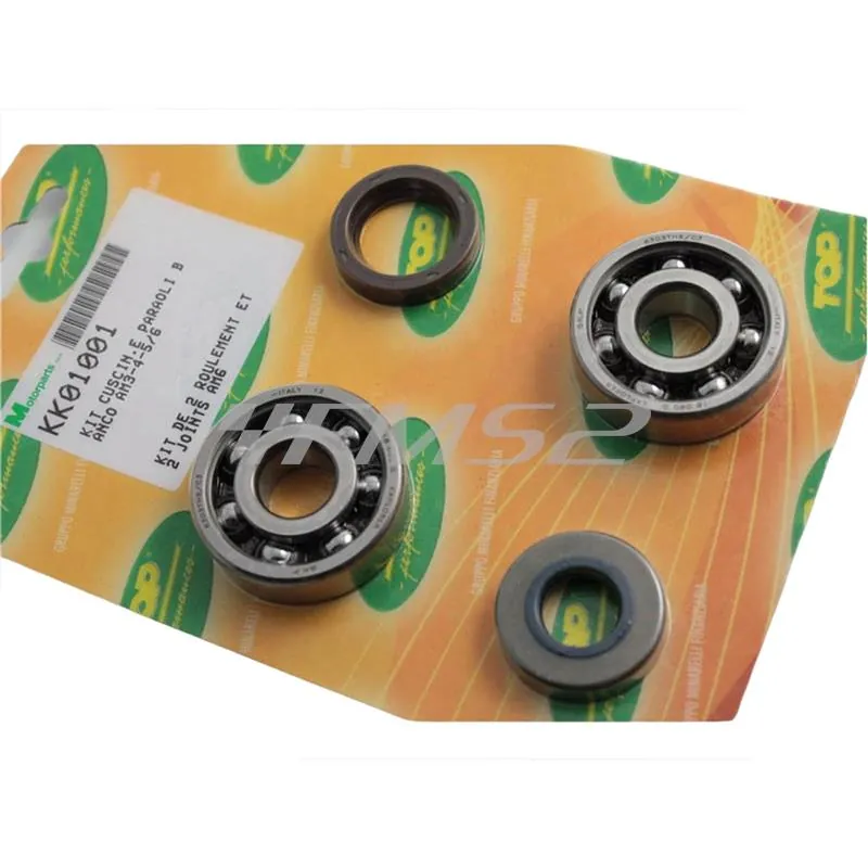 Kit cuscinetti e paraolio, ricambio KK01001