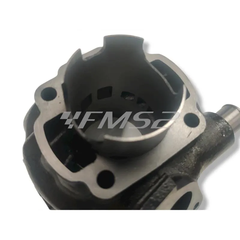 KT00109 Motore gruppo termico diametro 47 per SR  acqua