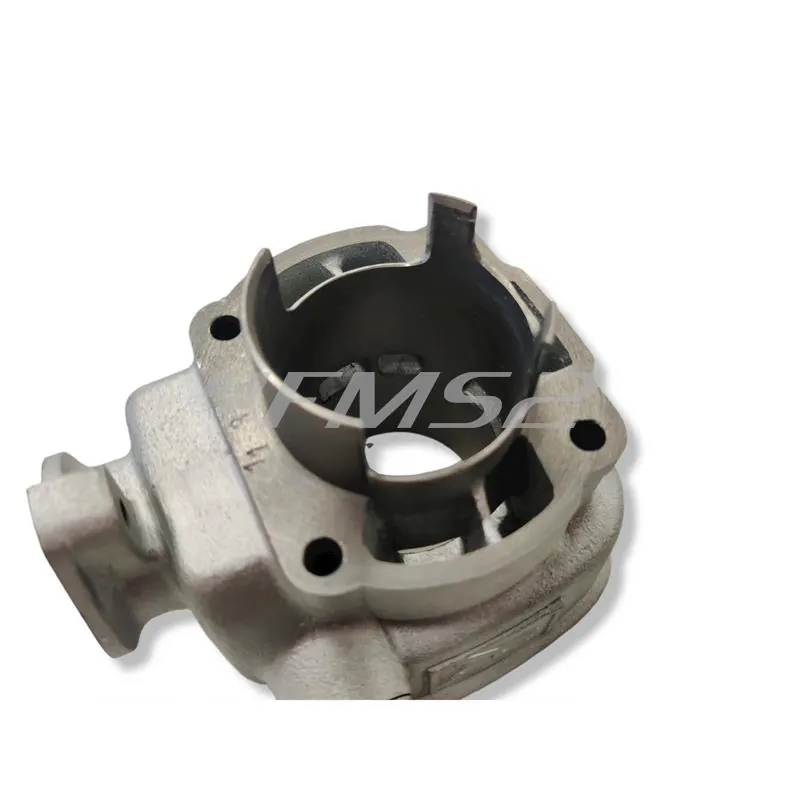 Motore gruppo termico kit diametro 47 per Suzuki-Aprilia, ricambio KT00117