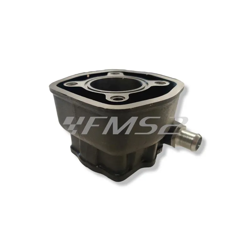 Motore gruppo termico kit diametro 47 per Derbi senda, ricambio KT00118