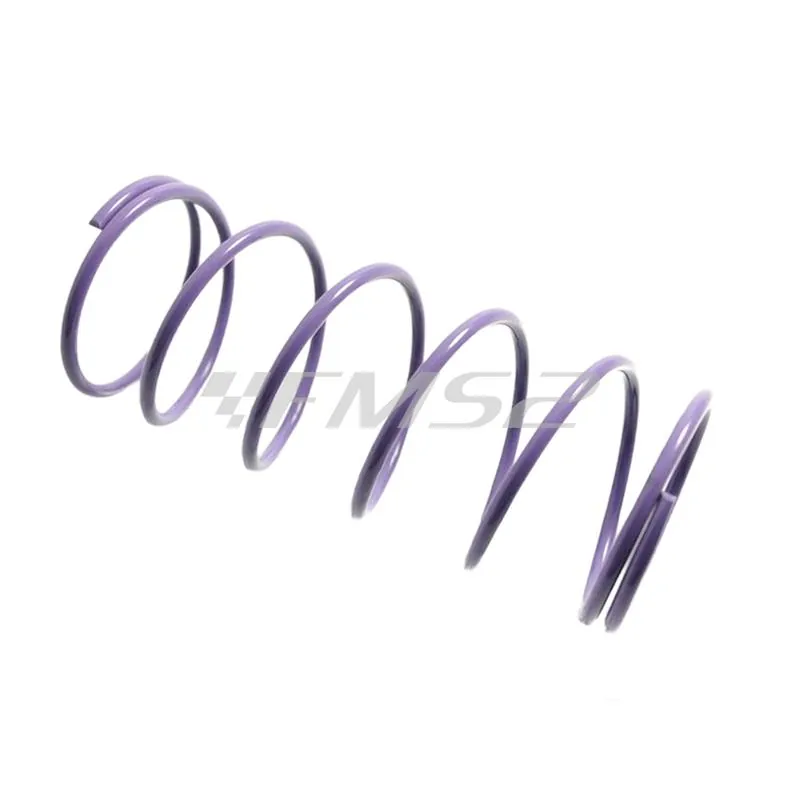 Molla contrasto variatore zip-quartz (+22%) viola, ricambio ML06227