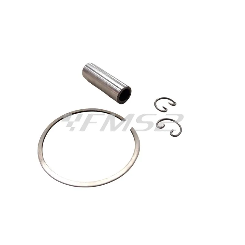 22273080 Pistone Polini corsa spinotto 12 diametro 47.80 mon (Vertex)