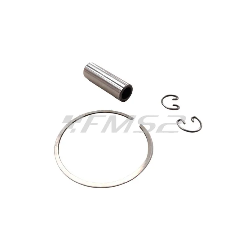 22273100 Pistone Polini corsa spinotto 12 d.48.00 mon (Vertex)
