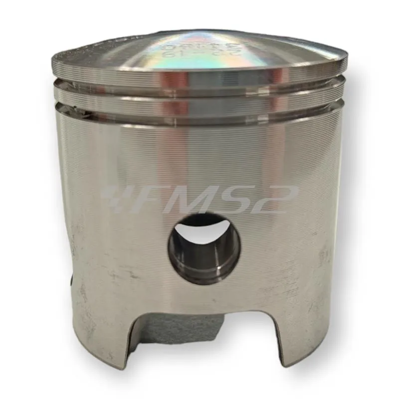 22351040 Pistone Vertex bifascia per Malossi ghisa