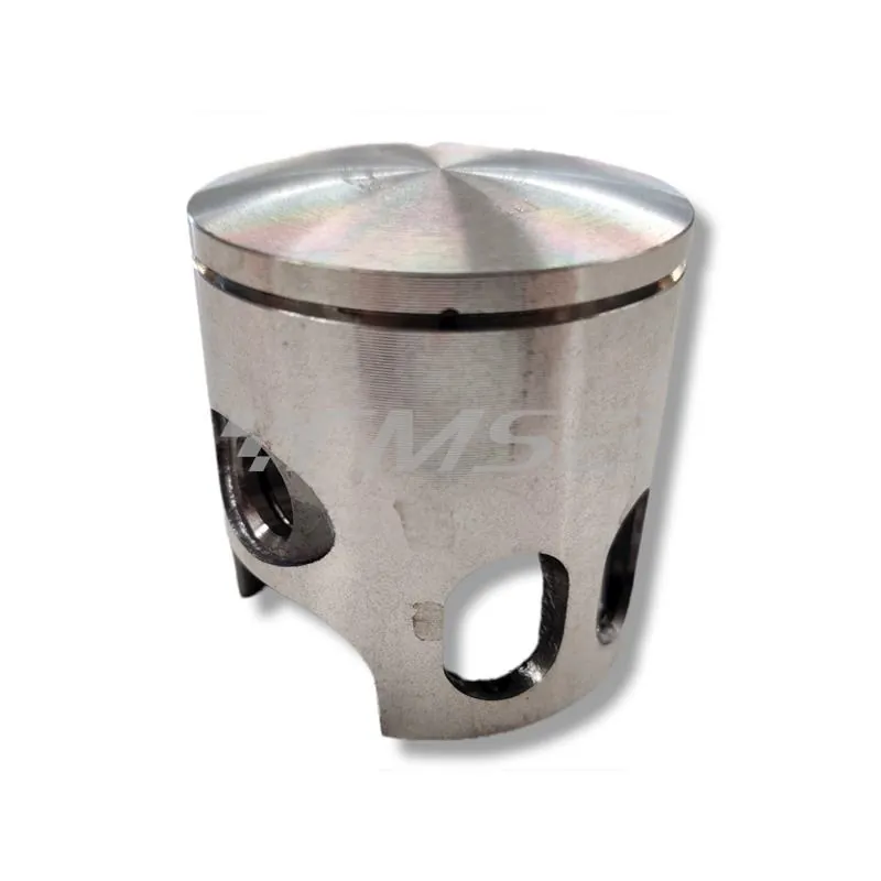 Pistone Polini diametro 47 monofascia sel.e (Vertex), ricambio 22425E