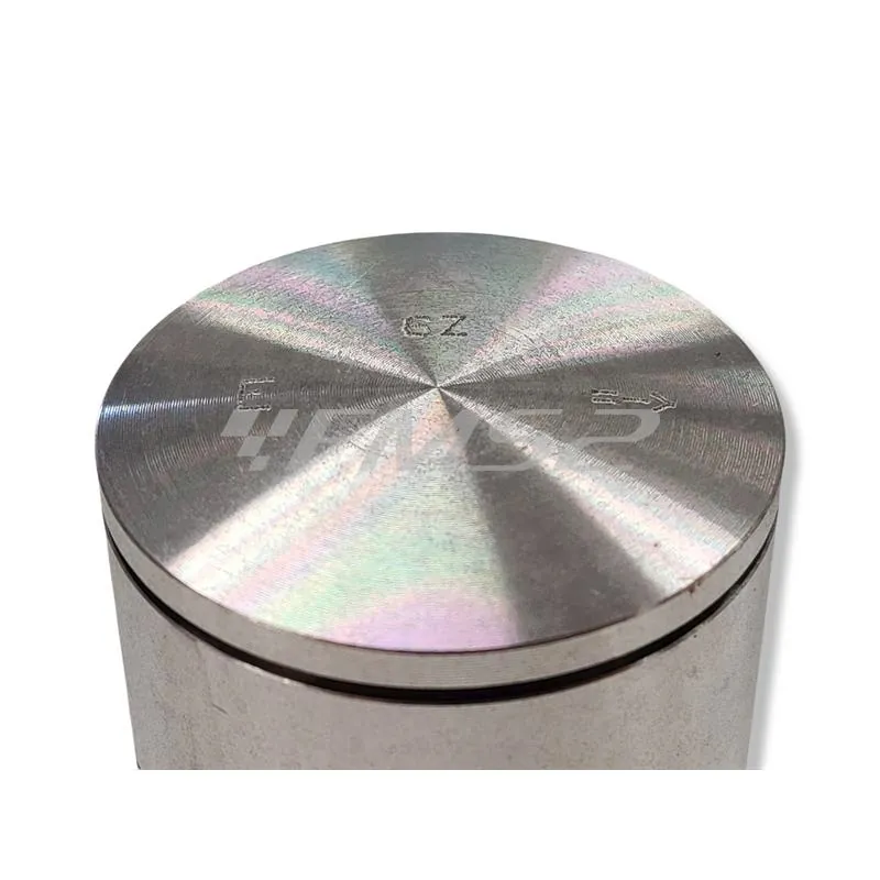 Pistone Polini diametro 47 monofascia sel.e (Vertex), ricambio 22425E