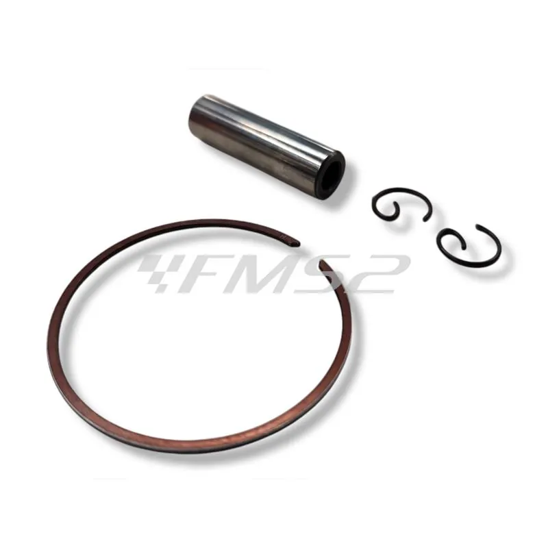 Pistone Polini diametro 47 monofascia sel.f spinotto 10 (Vertex), ricambio 22425F