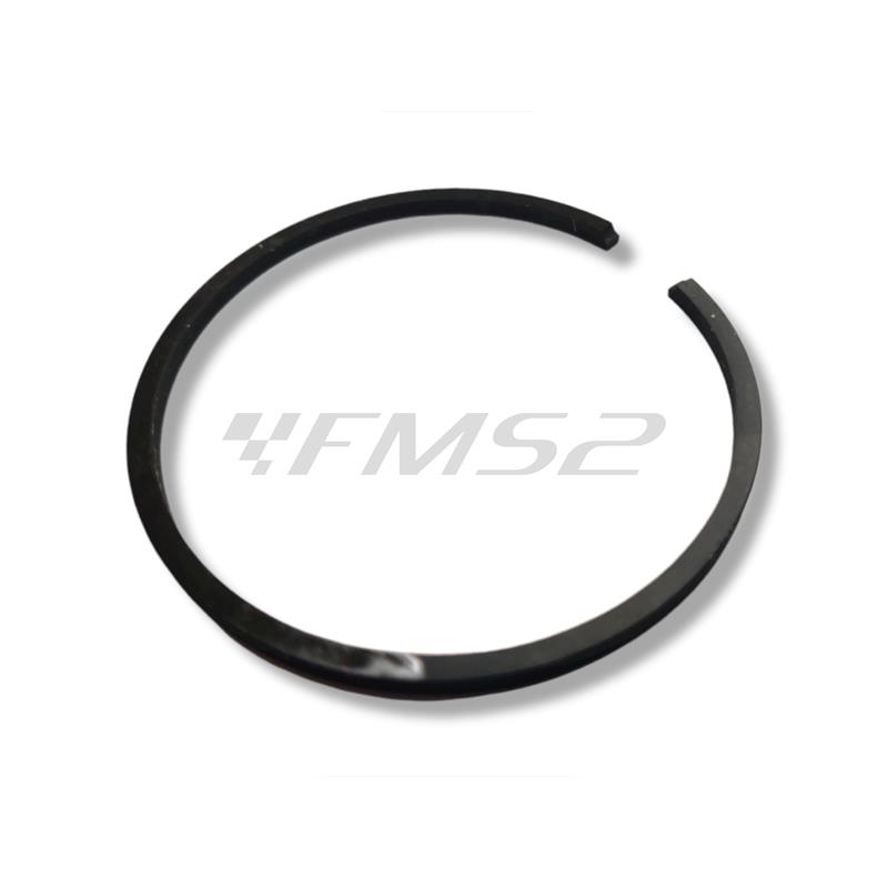 Segmento ac.fg.sm d.56,00 x 2,50 fos, ricambio 52625005600P