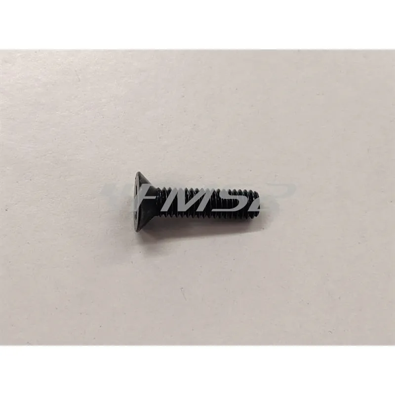 Vite svasata per chiusura coperchio pompa freno sinistra o destra maxi scooter e maxi moto Yamaha, ricambio 5VS2589H0000