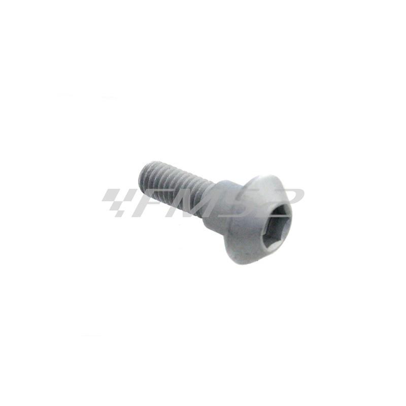 Vite fissaggio disco freno anteriore e posteriore per maxi scooter Yamaha T-MAX 500 cc e maxi moto Yamaha, ricambio 901090625400