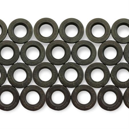 Paraolio  in gomma nera gaco smim con misura 17x30x5 mm per applicazioni varie, ricambio PAR173005