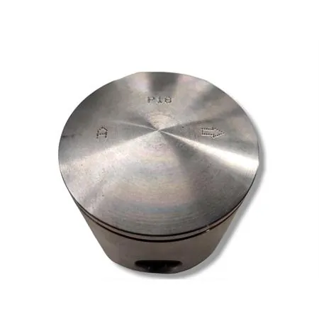 PC1766A Pistone polini evo 47,6 mm spin.12 monof