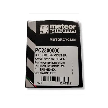 PC2300000 Pistone top bifascia 47,0 mm spin.10