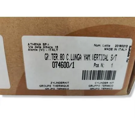 Motore gruppo termico d.h.p. Yamaha bws 5t spinotto 12 mm Athena, ricambio 0746001