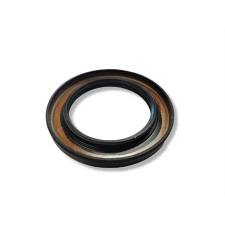 Paraolio sd 40x60x6 l hs, ricambio M730903244600