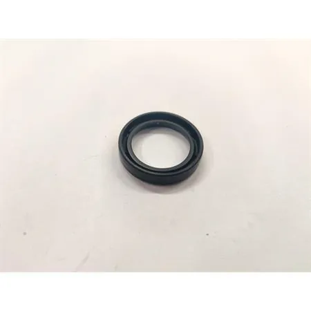 Paraolio Athena in gomma modello VC e misura 19x26x5  mm,  ricambio M735400923000