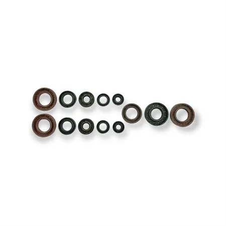 P400105400050 Serie paraolio Derbi senda-bultaco lobito 50 Athena