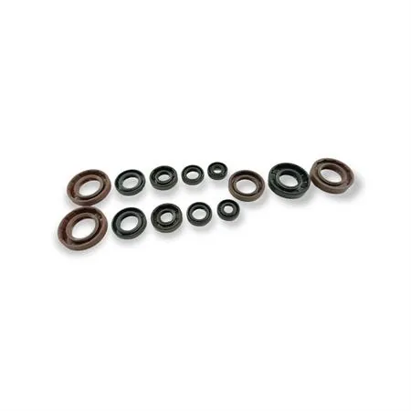 P400105400050 Serie paraolio Derbi senda-bultaco lobito 50 Athena