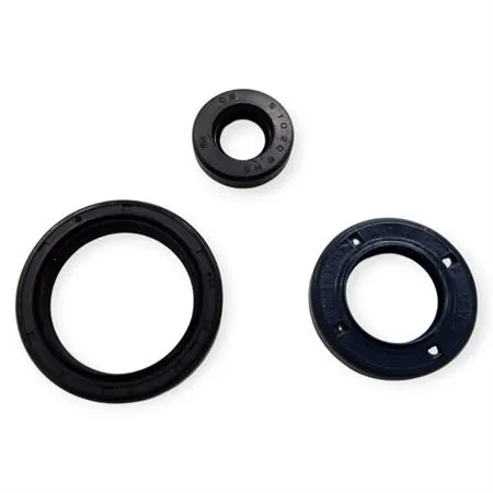 P400220400263 Serie paraolio motore specifici per HUSQVARNA TC / TE 250 4T 2010-2014, TXC 250 2010-2014 e TE / TXC 310 2011-2014