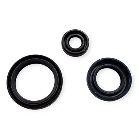 P400220400263 Serie paraolio motore specifici per HUSQVARNA TC / TE 250 4T 2010-2014, TXC 250 2010-2014 e TE / TXC 310 2011-2014