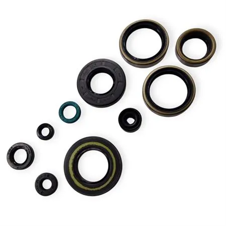 P400250400021 Serie paraolio motore specifica per KAWASAKI KX 250 prodotti dal 2005 fino al 2008