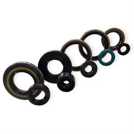 P400250400021 Serie paraolio motore specifica per KAWASAKI KX 250 prodotti dal 2005 fino al 2008
