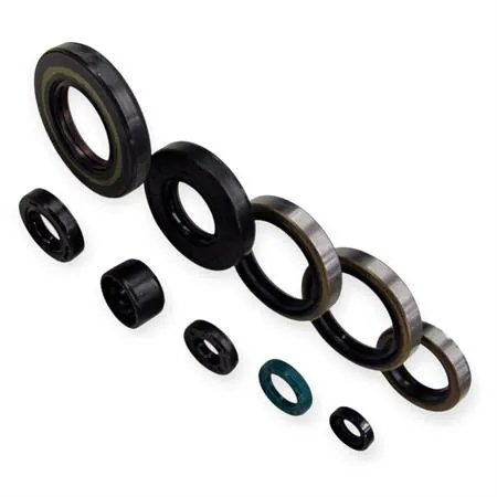 P400250400021 Serie paraolio motore specifica per KAWASAKI KX 250 prodotti dal 2005 fino al 2008