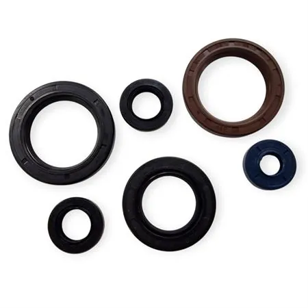 Serie paraolio motore specifico per KTM GS e MX 125 prodotti dal 1984 fino al 1986 con type motore 501